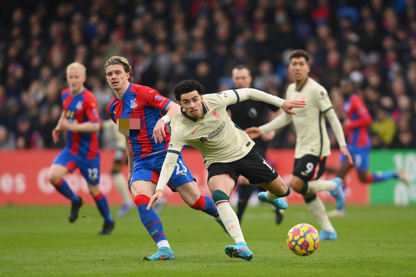 曾道长的抛 曾道长的抛